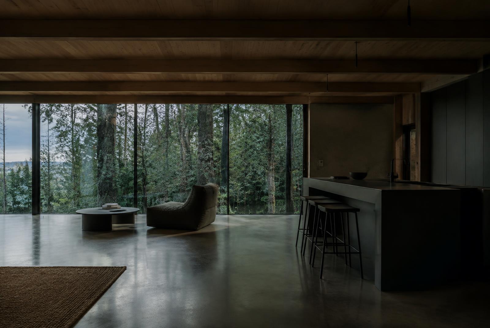 Timber and concrete interior with forest views